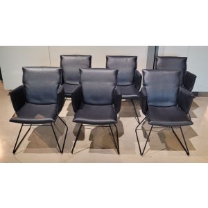 (Showroommodel) De Sede Armstoelenset DS-515 Paris