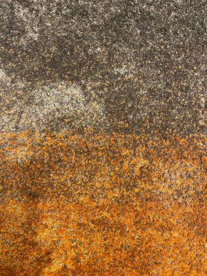 karpet kleur verloop.jpg