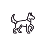 Woonboulevard Poortvliet honden toegestaan